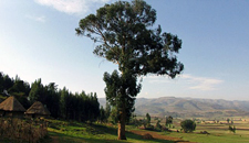 Ethiopia-Higlands-Ethiopian Highlands Ride